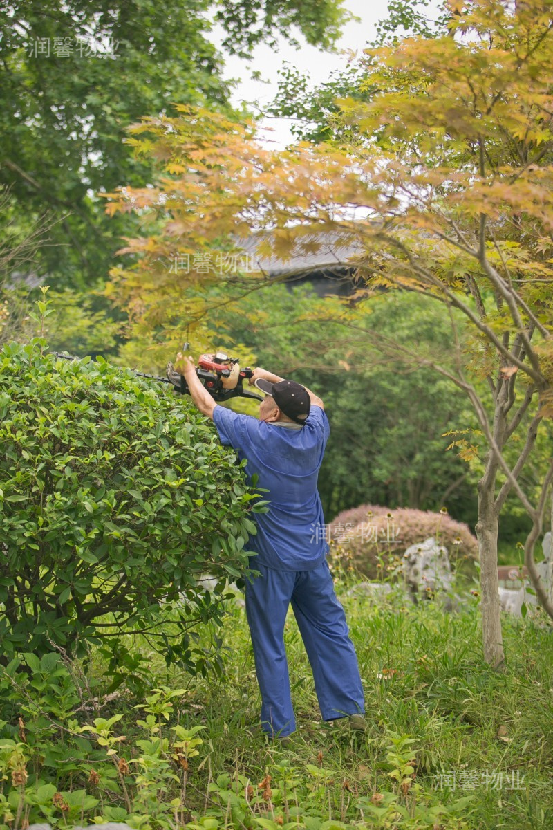 22年物業(yè)風采3